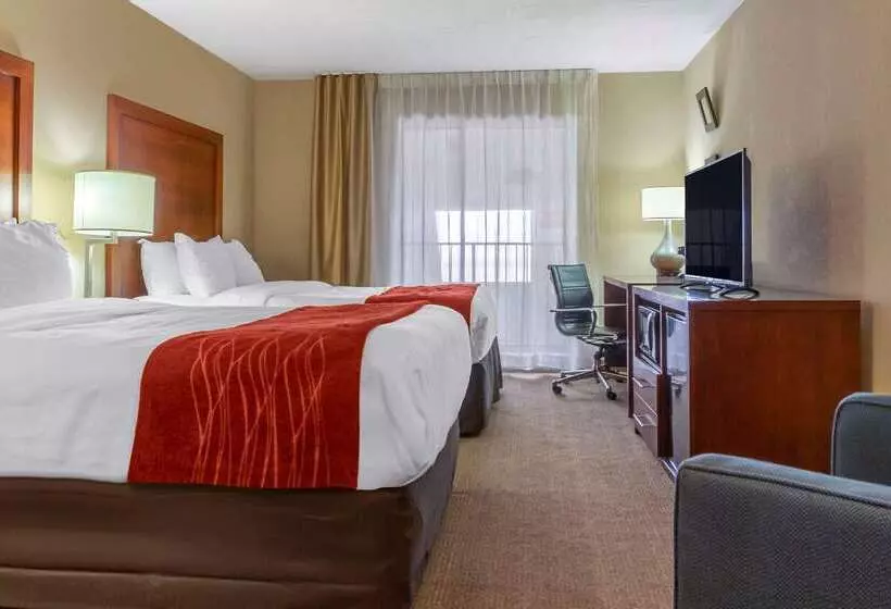 호텔 Comfort Inn Albuquerque Airport