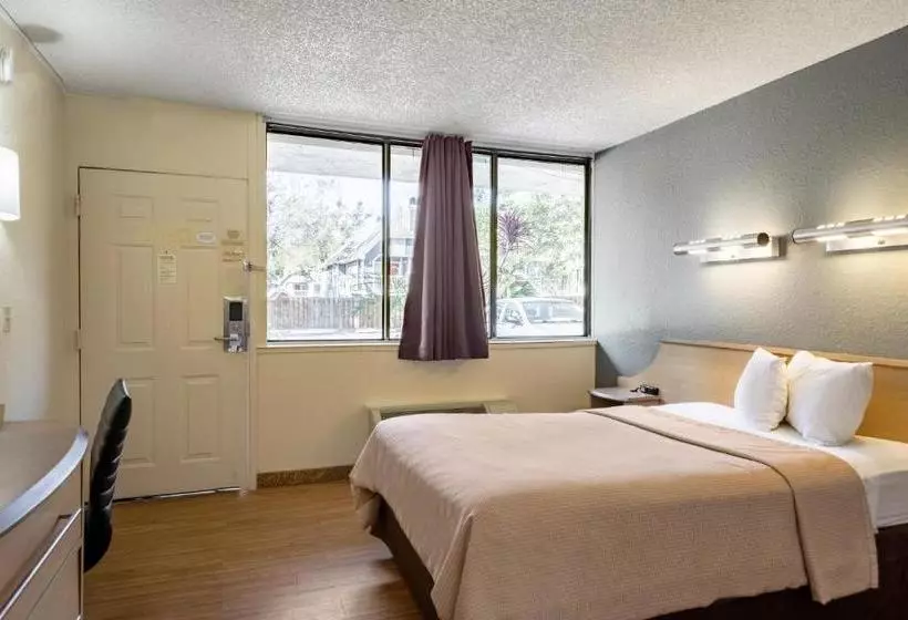 فندق Econo Lodge Palm Harbor  Clearwater