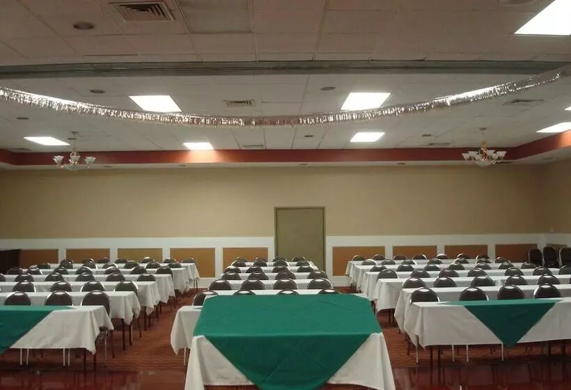 Romana Hotel   Houston Southwest