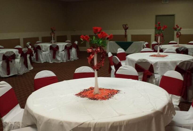 Romana Hotel Houston Southwest