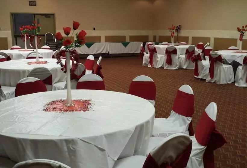 Romana Hotel   Houston Southwest