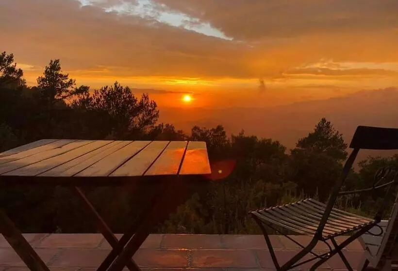 هتل Mas Del Salin