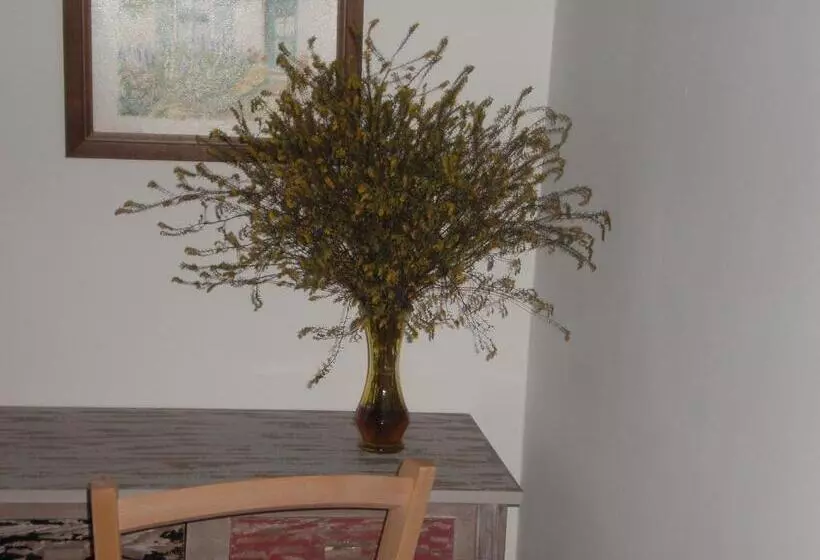 هتل Mas Del Salin