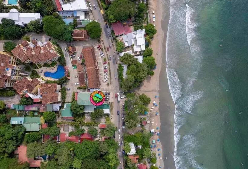 Hotelli Iguana Surf Camp