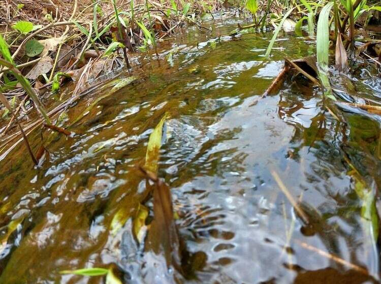 פנסיון Green Mountain Resort Koh Yao