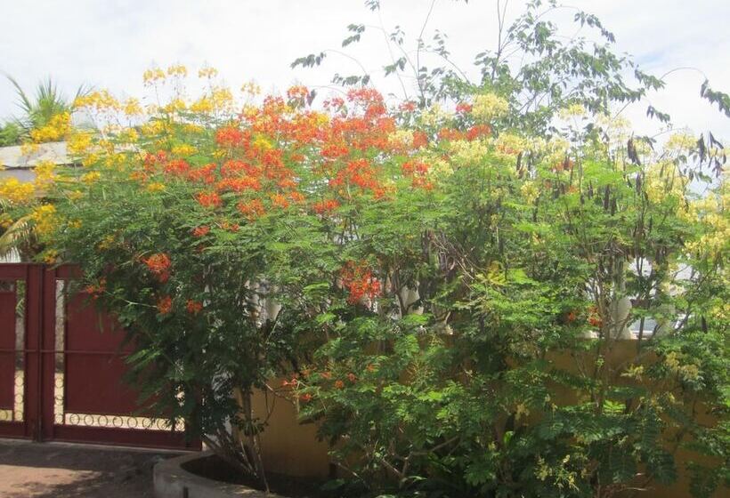 پانسیون La Petite Perle