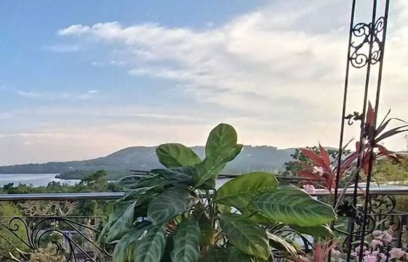 پانسیون Verano Guest House Bohol