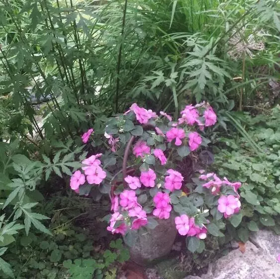 Well House Bed And Breakfast