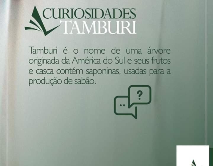 فندق Novo Tamburi