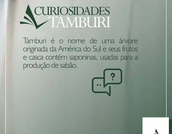 هتل Novo Tamburi