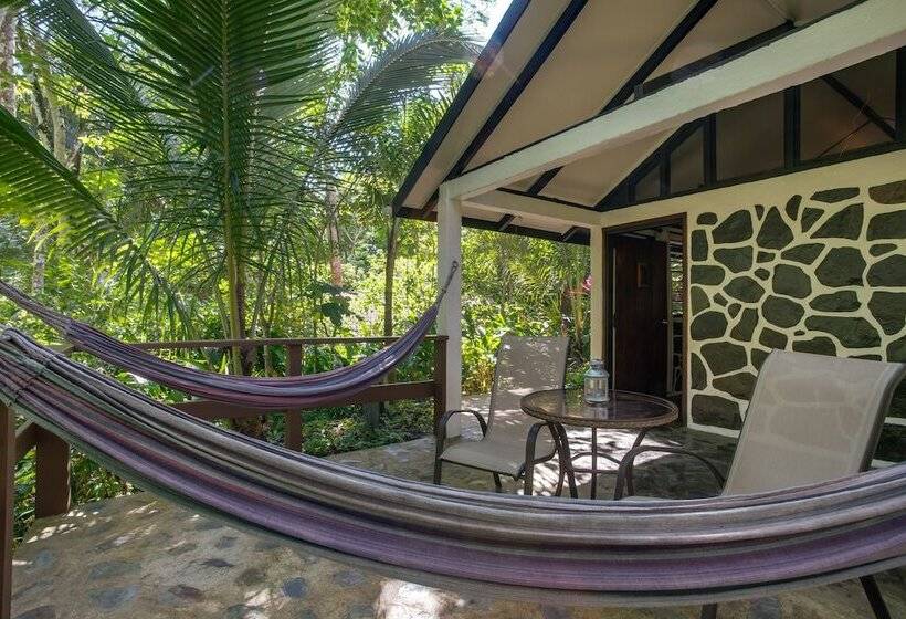 酒店 Black Rock Lodge