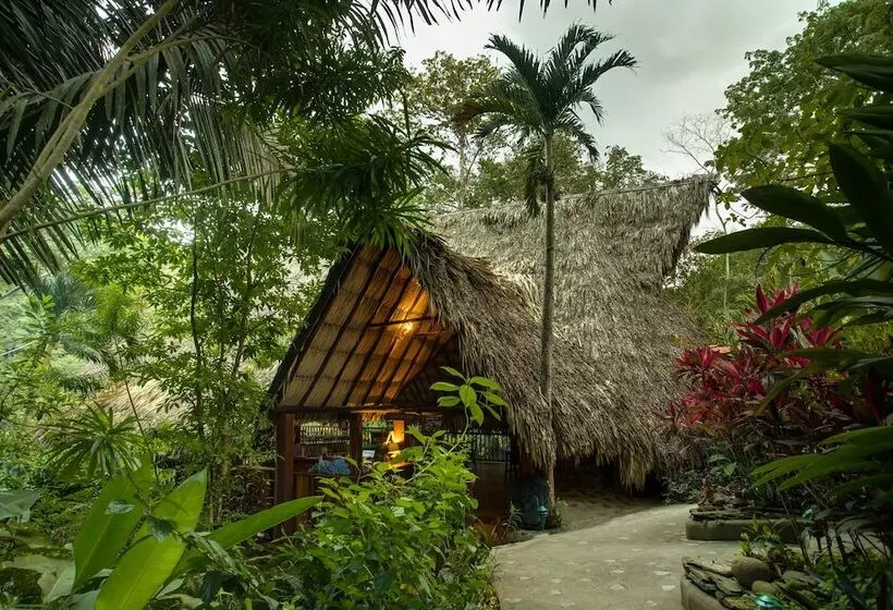 هتل Black Rock Lodge