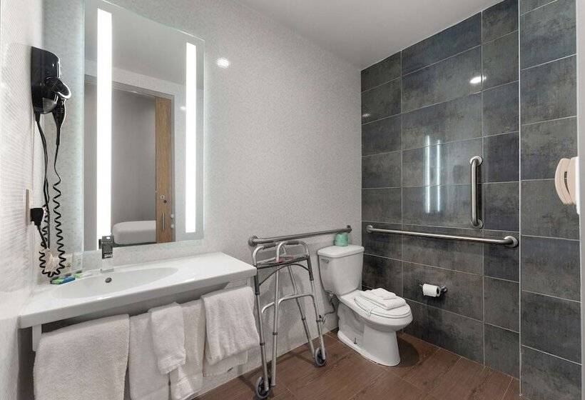 酒店 Quality Inn Center City