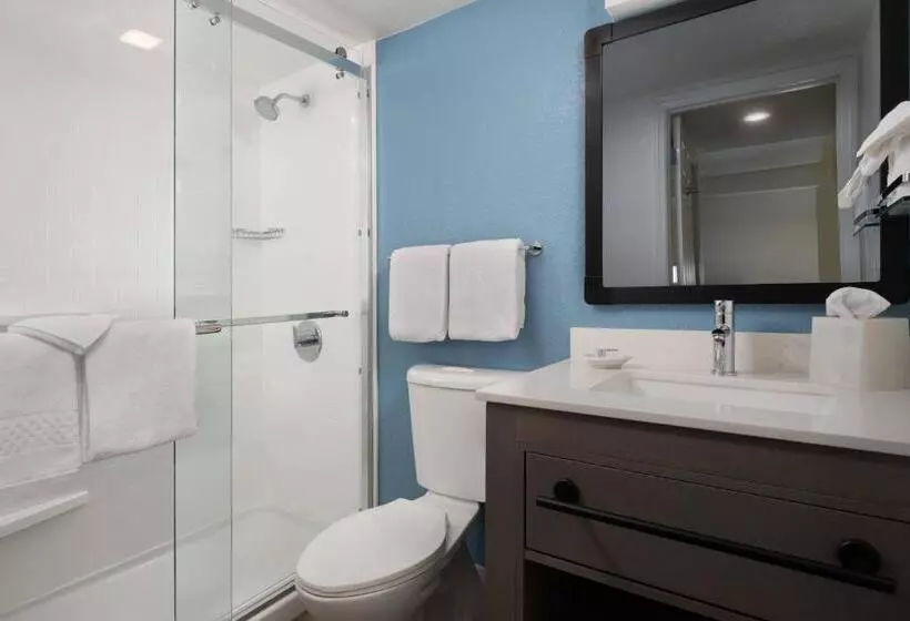 Residence Inn Sunnyvale Silicon Valley Ii