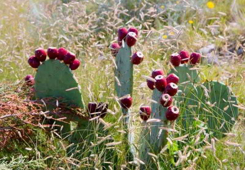 إقامة Sonesta Es Suites Albuquerque