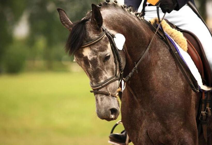 فندق وادي القلط