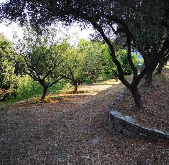 ペンション Villa Milanu