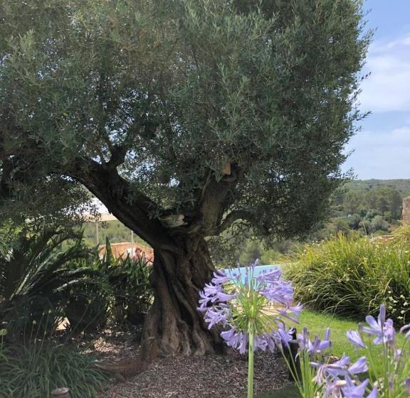 ベッドアンドブレックファースト La Casa De Piedra