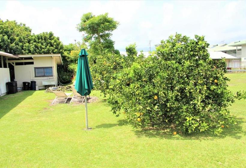 Pansiyon Hale Leilani   Hilo 3br Cold Ac