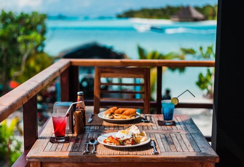 پانسیون Club Kaafu Maldives