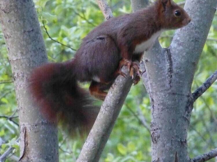 بنسيون Casa Puig