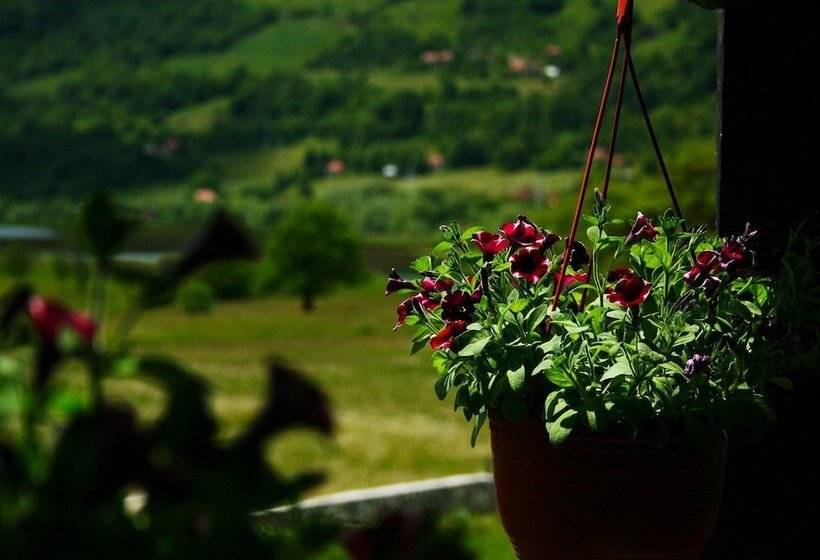 Camp Hotel Lake Views