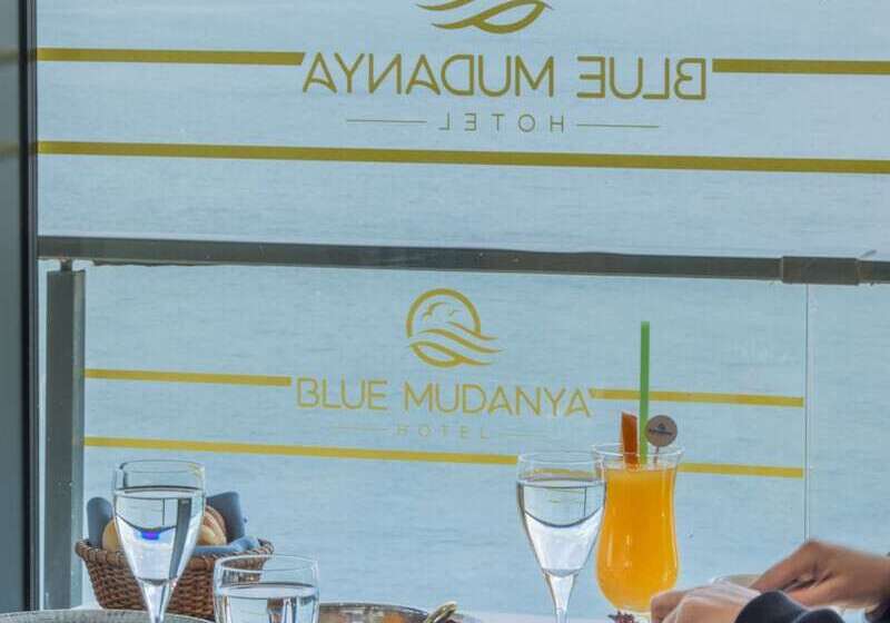 هتل Blue Mudanya