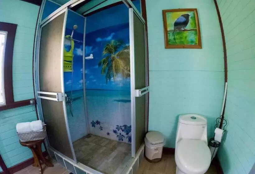 Hotelli Coyote Rooms