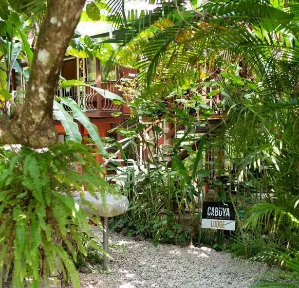 Hotelli Coyote Rooms