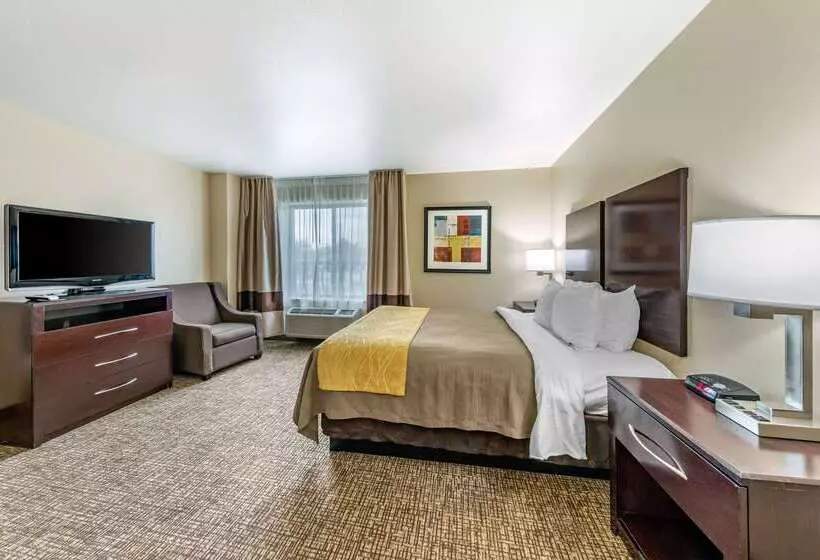 호텔 Comfort Inn & Suites