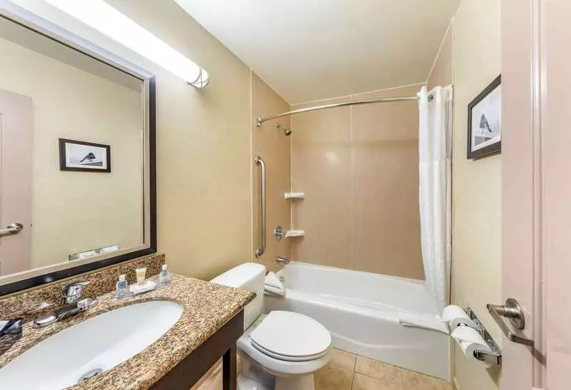 호텔 Comfort Inn & Suites