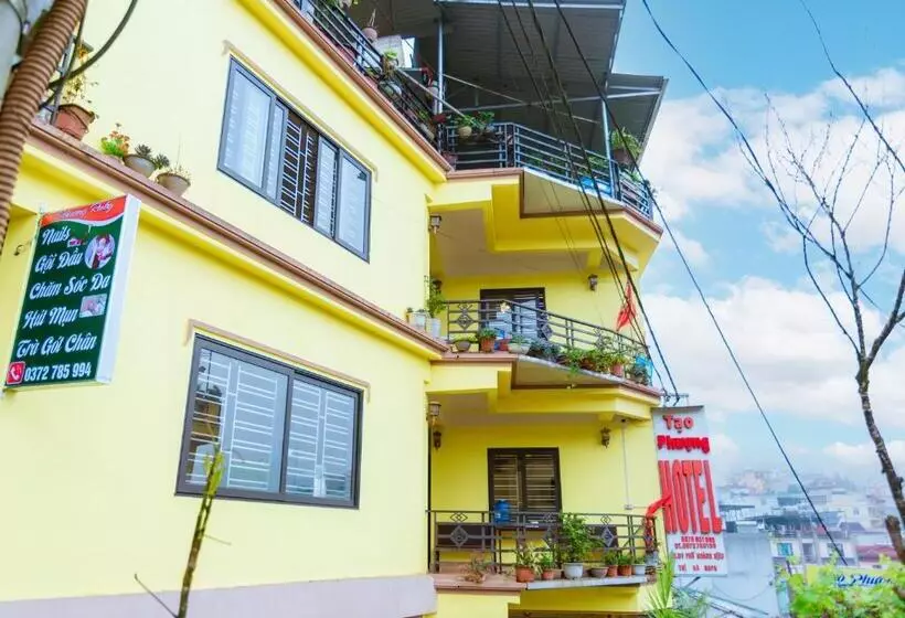 هتل Tạo Phượng Sa Pa