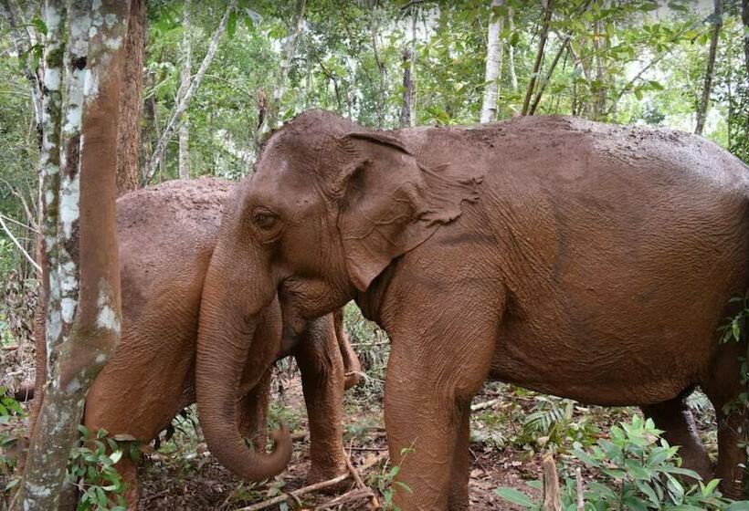 ペンション Chambre En Ville