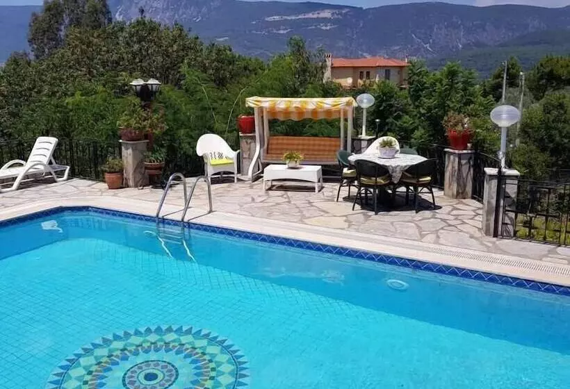 Villa Olive Tree