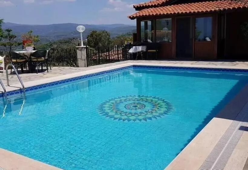 Villa Olive Tree