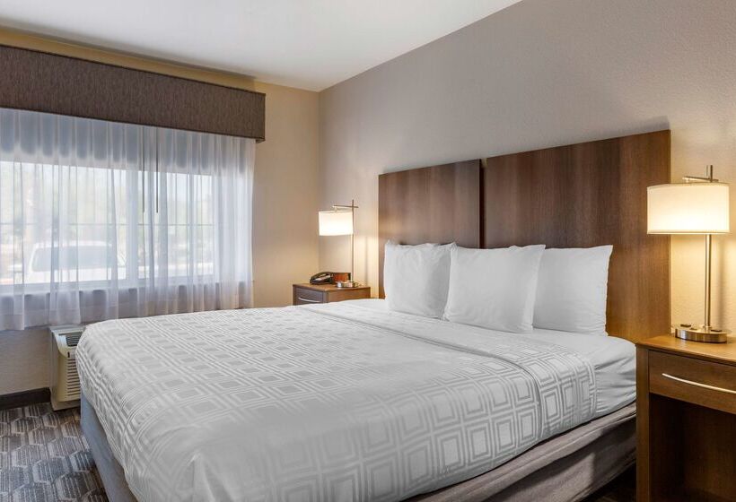 فندق Best Western North Phoenix