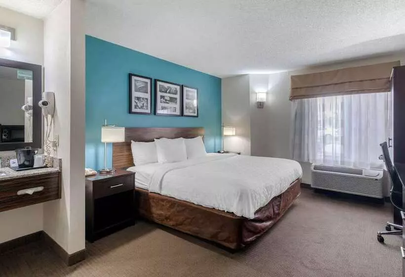 هتل Clarion Inn & Suites Dfw North
