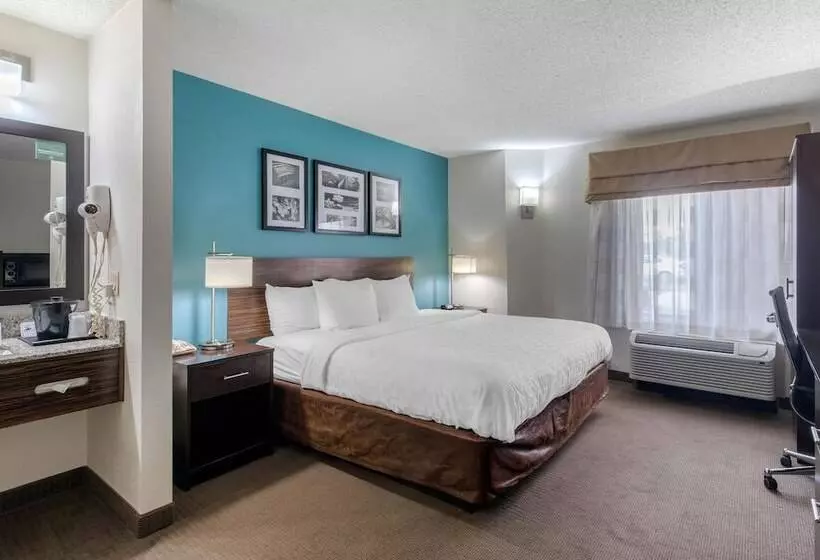 هتل Clarion Inn & Suites Dfw North
