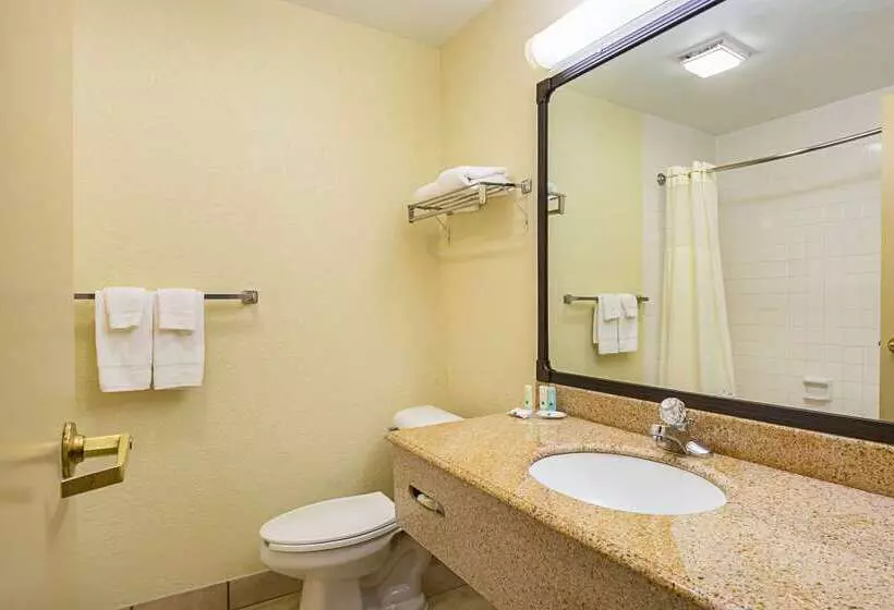 ホテル Quality Inn & Suites Nrg Park  Medical Center