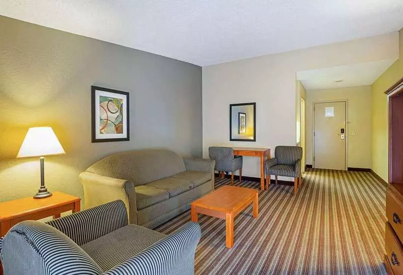 ホテル Quality Inn & Suites Nrg Park  Medical Center