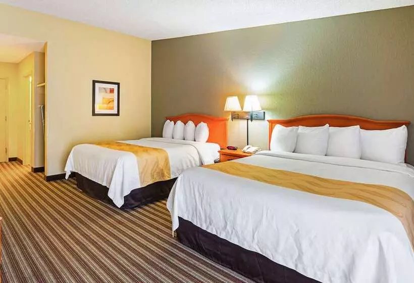 ホテル Quality Inn & Suites Nrg Park  Medical Center