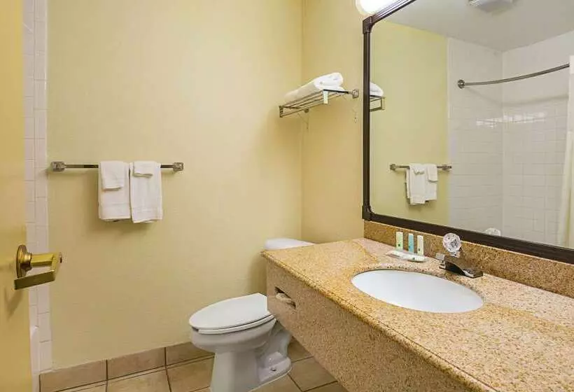 ホテル Quality Inn & Suites Nrg Park  Medical Center