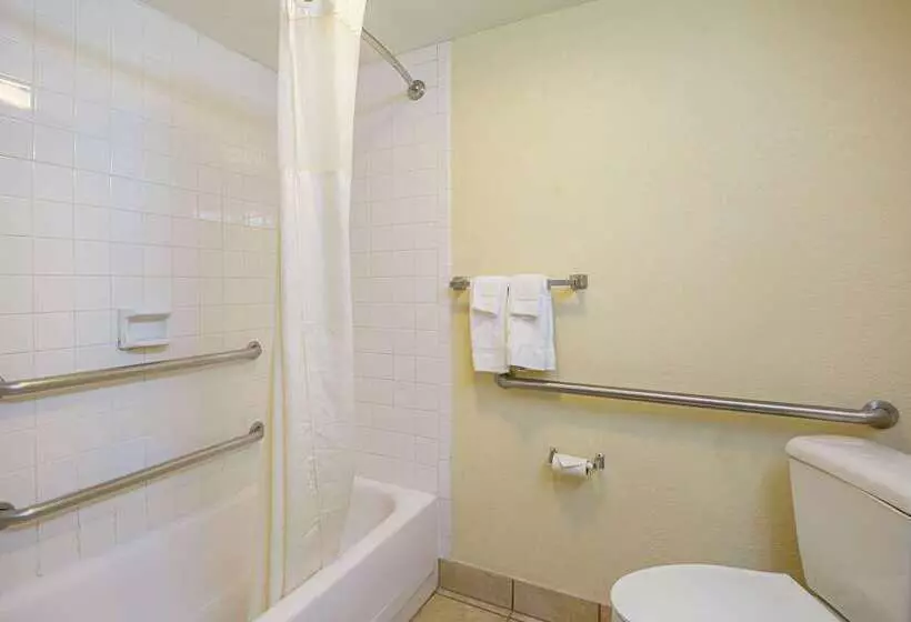 ホテル Quality Inn & Suites Nrg Park  Medical Center