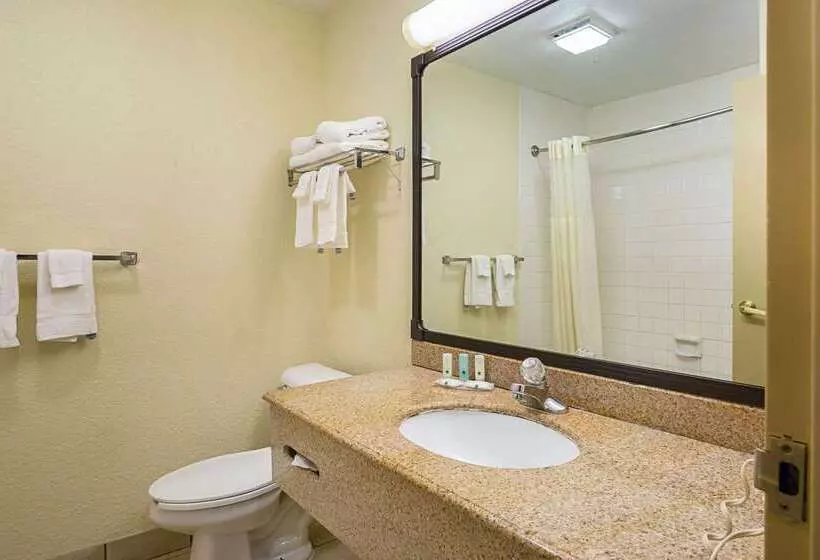ホテル Quality Inn & Suites Nrg Park  Medical Center