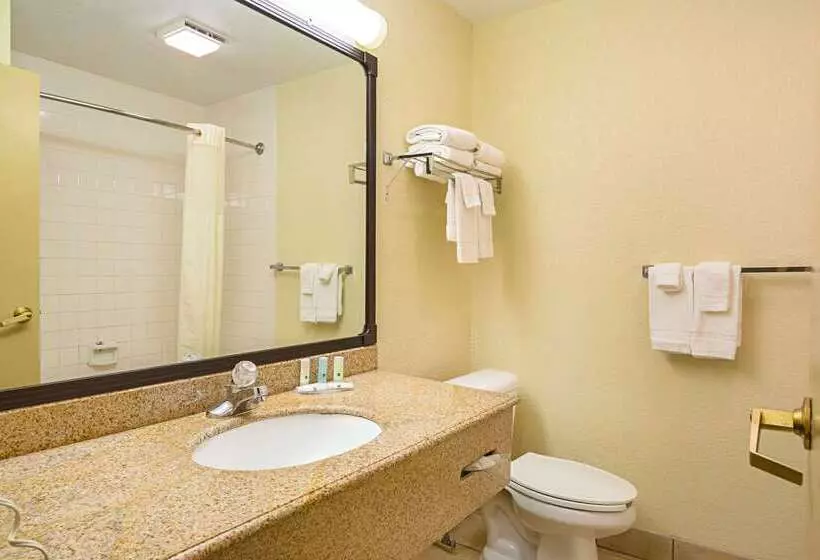 ホテル Quality Inn & Suites Nrg Park  Medical Center