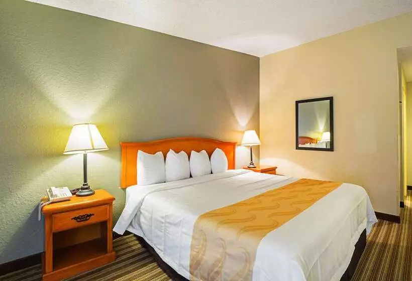 ホテル Quality Inn & Suites Nrg Park  Medical Center