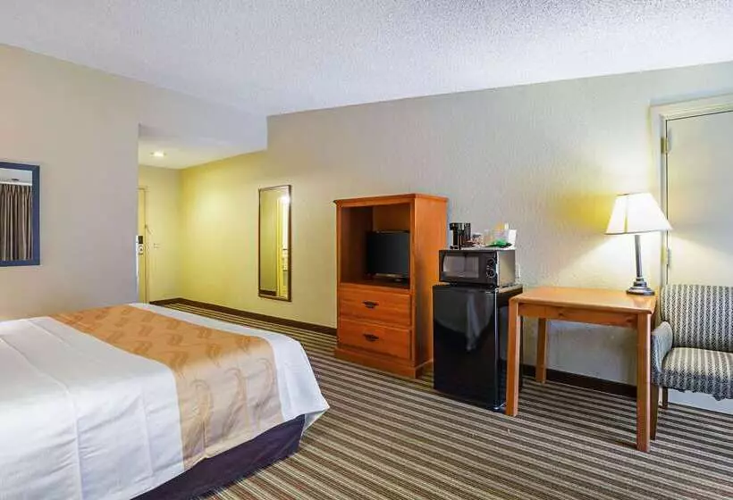 ホテル Quality Inn & Suites Nrg Park  Medical Center
