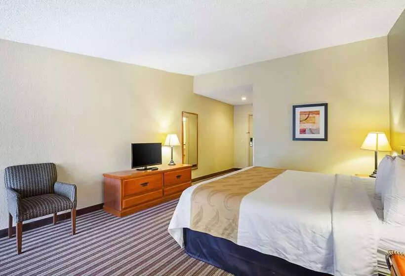 ホテル Quality Inn & Suites Nrg Park  Medical Center