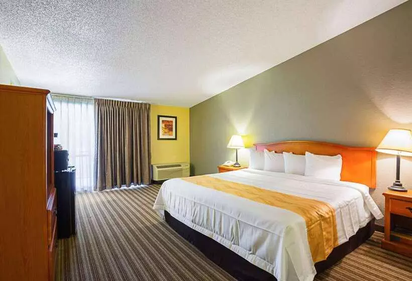 ホテル Quality Inn & Suites Nrg Park  Medical Center