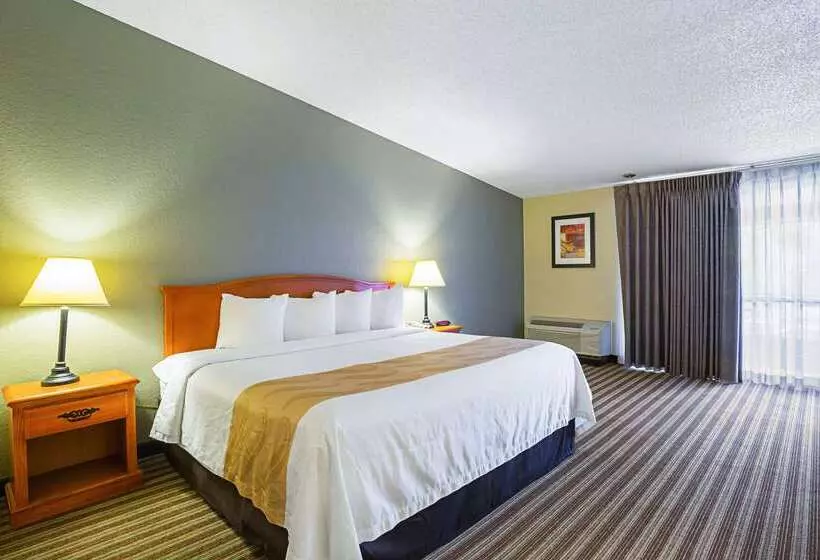 ホテル Quality Inn & Suites Nrg Park  Medical Center